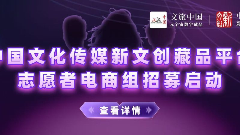 短视频制作设备品牌盘点：揭秘十大热门品牌背后的技术奥秘